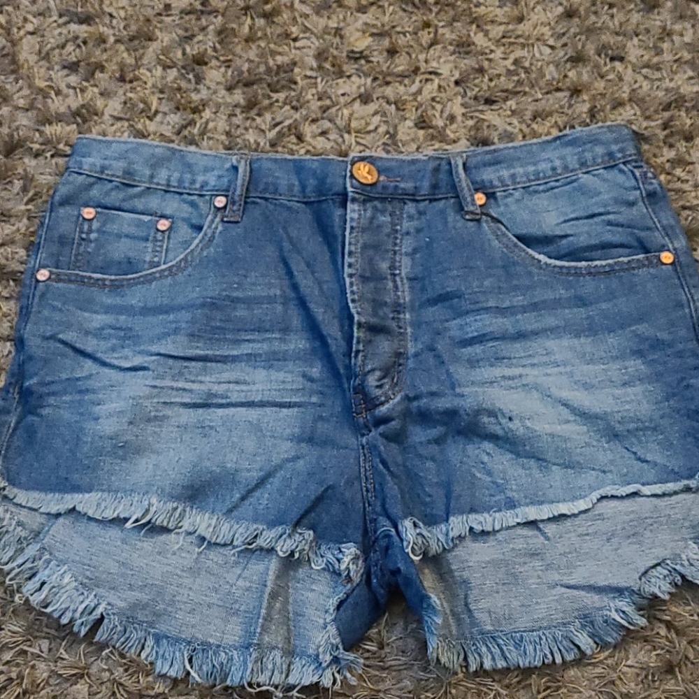 Oneteaspoon jean shorts